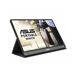 ASUS 39.6cm Profess.MB16AHP...