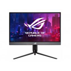 ASUS 43.8cm Prof. XG17AHP...