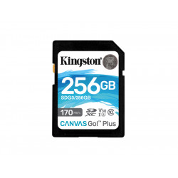 Kingston Canvas Go! Plus...
