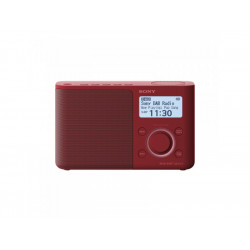 Sony Radio digitale...